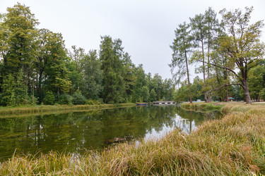 Similar image 8511108