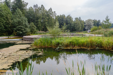 Similar image 8511109