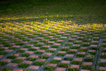 Similar image 8511197