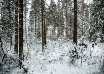 Similar image 8511223