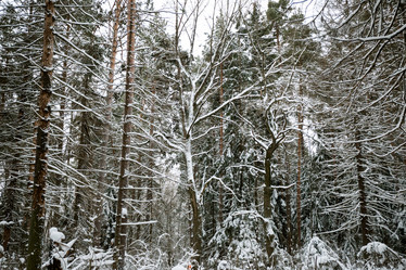 Similar image 8511235