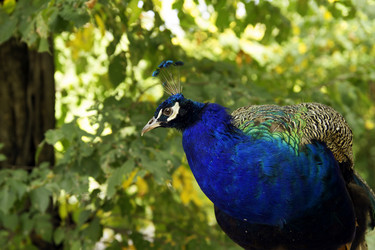 Similar image 8511691