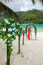 Similar image 8511703