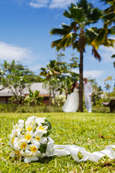 Similar image 8511720