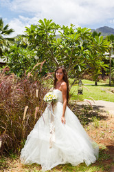 Similar image 8511723