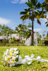 Similar image 8511728