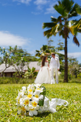 Similar image 8511729