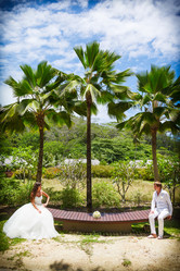 Similar image 8511730