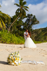 Similar image 8511740