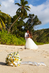 Similar image 8511741