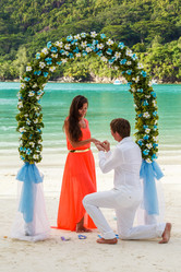 Similar image 8511788