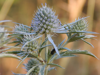 Similar image 8512007