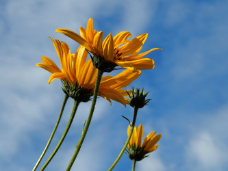 Similar image 8512014