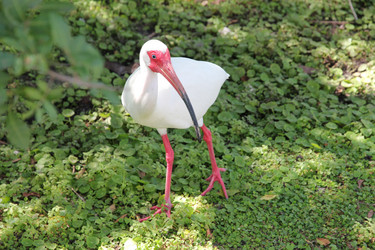 Similar image 8512015