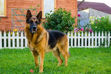 Similar image 8512020