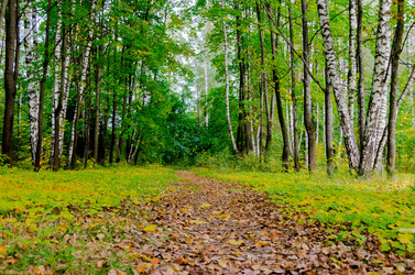 Similar image 8512036