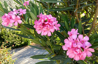 Similar image 8512047