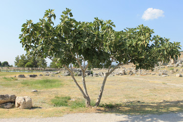 Similar image 8512076