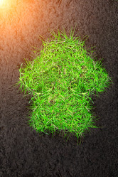 Similar image 8512101