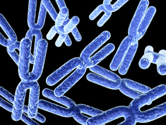 Similar image 8512105