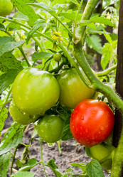 Similar image 8512110