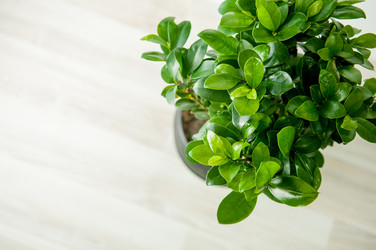 Similar image 8512112