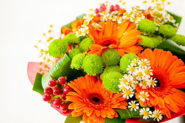 Similar image 8512114