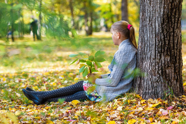 Similar image 8512119