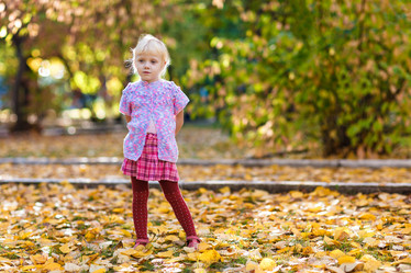 Similar image 8512123