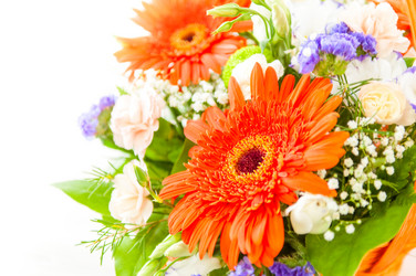 Similar image 8512125