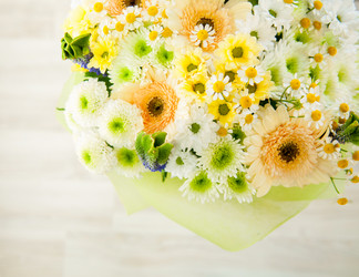 Similar image 8512126