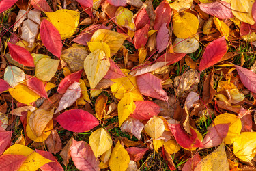 Similar image 8512128