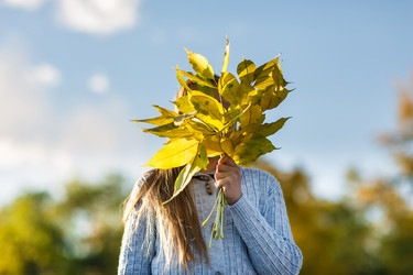 Similar image 8512129