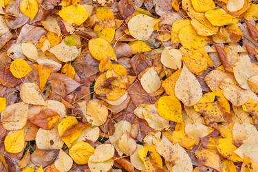 Similar image 8512130