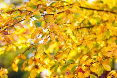 Similar image 8512133