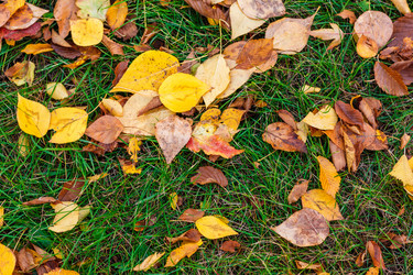 Similar image 8512165