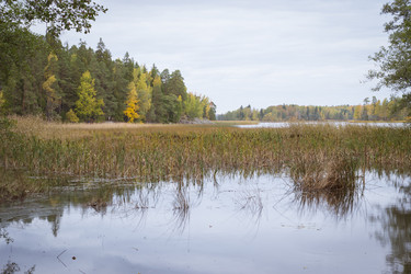 Similar image 8512226