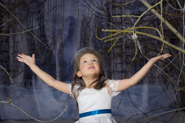 Similar image 8512281