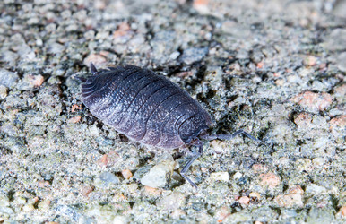 Similar image 8512334