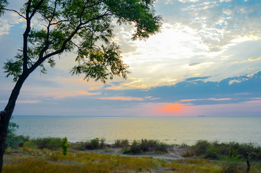 Similar image 8512342