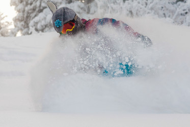 Similar image 8512736