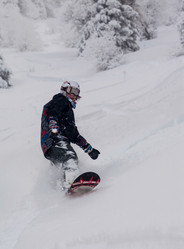 Similar image 8512741