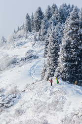 Similar image 8512767