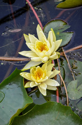 Similar image 8512774