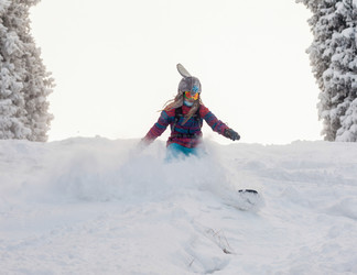 Similar image 8512799