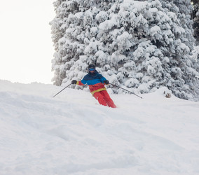 Similar image 8512800