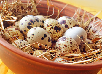 Similar image 8513097