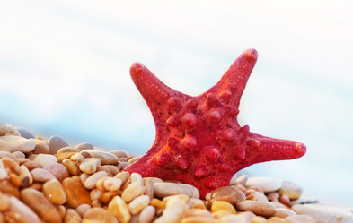 Similar image 8513112