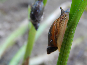 Similar image 8513252