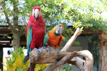 Similar image 8513253